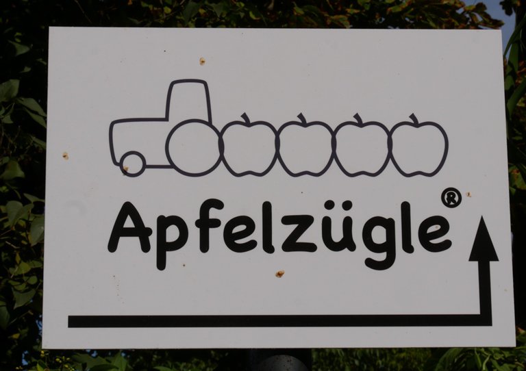 Zunftausflug Apfelzuegle